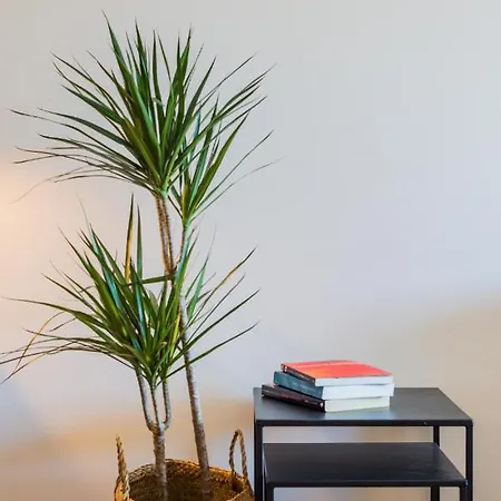Boavista Garden Apartment